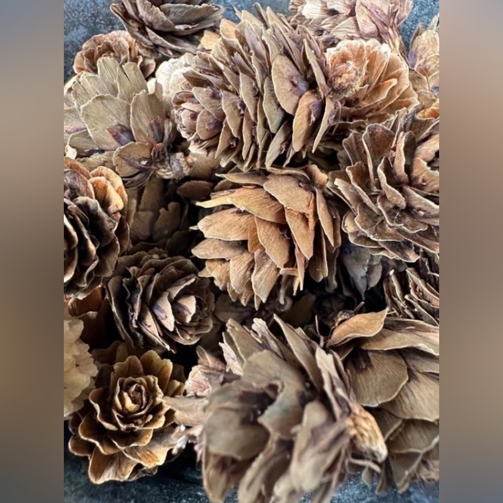 Natural Brown Mini Pine Cones for Home Decor